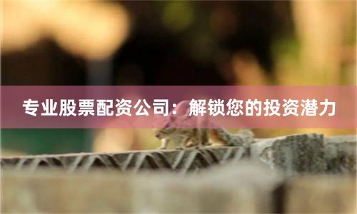 专业股票配资公司：解锁您的投资潜力