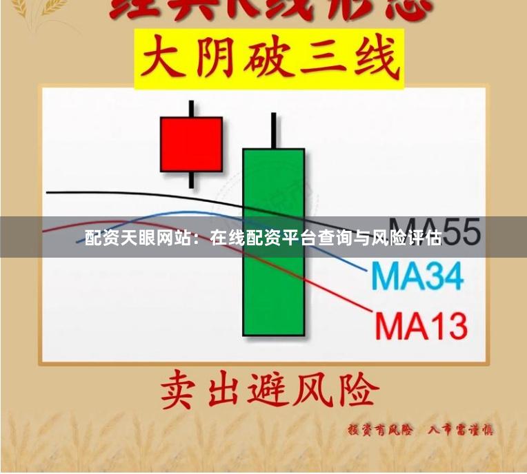 配资天眼网站：在线配资平台查询与风险评估