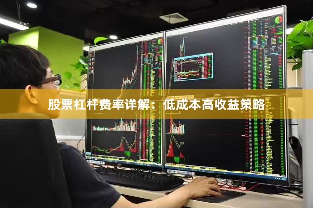 股票杠杆费率详解：低成本高收益策略