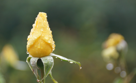 雨的文案励志，雨中前行，励志如歌