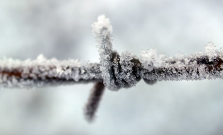 描写大雪纷飞诗句，《雪舞风吟绘冬韵》