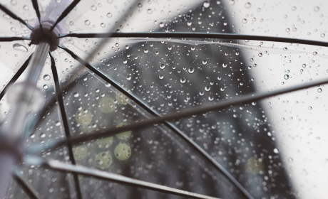 关于下雨的心情伤感说说句子，雨落无声，心绪随风轻轻摇曳