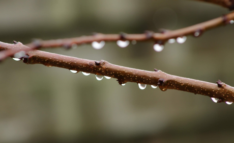 经典下雨天的心情说说，雨滴心情：经典下雨天的感言集锦