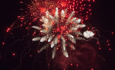 元旦祝福语:猪年到，迎新春贺猪年，元旦祝福暖心间